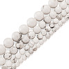 4 Strands 4 Style Natural Howlite Beads Strands G-TA0001-34-3