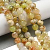Faceted Natural Fire Crackle Agate Beads Strands X-G-F447-12mm-H01-1