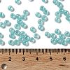 Glass Seed Beads SEED-H002-E-A1419-4