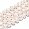 Natural Cultured Freshwater Pearl Beads Strands PEAR-L001-C-08-01-2