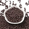 6/0 Glass Seed Beads X1-SEED-L011-08A-08-2
