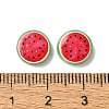 Fruit Series Opaque Resin Cabochons CRES-Q006-01E-3