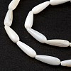 Natural Freshwater Shell Beads Strands SHEL-M018-09-4