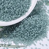 MIYUKI Delica Beads SEED-MY11-DB0385-1