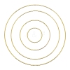 Iron Hoops LS-MAKN-PW0001-092B-01-1