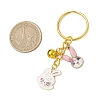 Alloy Enamel Keychain KEYC-JKC01073-3