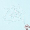 925 Sterling Silver Earring Hooks STER-P047-05S-4