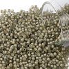 TOHO Round Seed Beads SEED-JPTR11-0369FM-1
