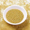 MIYUKI Delica Beads SEED-X0054-DB2041-2