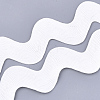 Polyester Ribbons SRIB-S050-E09-2