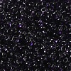 Transparent Colours Glass Seed Beads X1-SEED-P006-02A-12-3