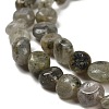 Natural Labradorite Beads Strands G-P497-01E-47-4