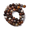 Natural Mexico Crazy Agate Beads Strands X-G-L615-A01-02-8