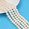 Natural Cultured Freshwater Pearl Beads Strands PEAR-I007-07Z-03C-01-1