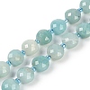 Natural Amazonite Beads Strands G-B094-A09-01-2