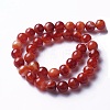 Natural Red Agate Beads Strands G-P434-09C-C-1