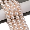 Baking Painted Pearlized Glass Pearl Round Bead Strands PEAR-H019-02D-01-2