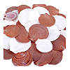 40Pcs Natural Shell for Aquarium Fish Tank Ornaments SHEL-PH0001-68-6
