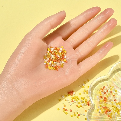 8500Pcs 10 Style Glass Seed Beads SEED-YW0001-80F-1