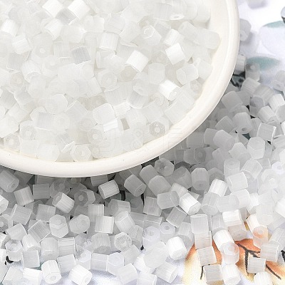 Glass Seed Beads SEED-H002-D-A801-1