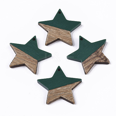 Resin & Wood Pendants LS-X-RESI-T023-23E-1