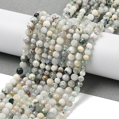 Natural Tree Agate Beads Strands G-G189-D12-03-1