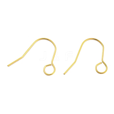 304 Stainless Steel Earring Hooks STAS-B047-31G-1