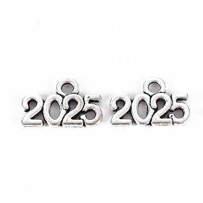 Tibetan Style Alloy Charms X-TIBE-S323-110AS-RS-1