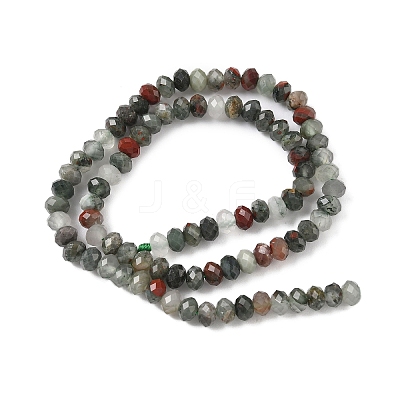 Natural African Bloodstone Beads Strands G-D344-A01-1