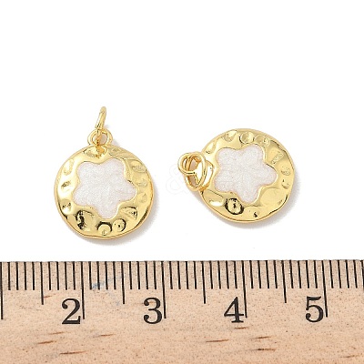 Brass Enamel Charms KK-P325-29G-1