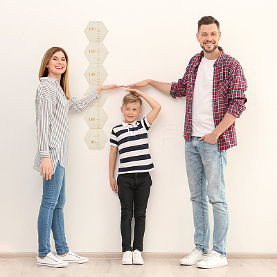 Hexagon Wood Measuring Growth Chart Rulers TOOL-WH0136-124B-1