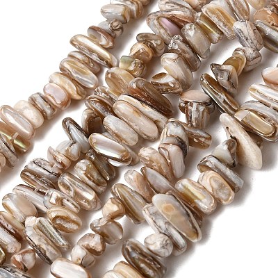 Natural Freshwater Shell Beads Strands X-SHEL-A006-05-1