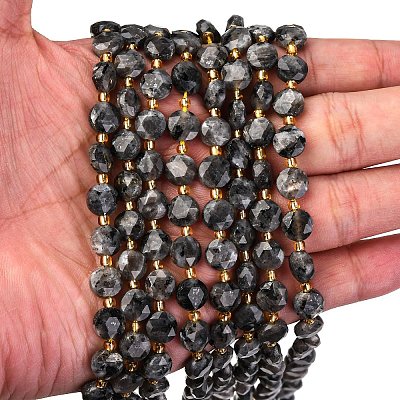 Natural Larvikite Beads Strands G-C116-A30-02-1