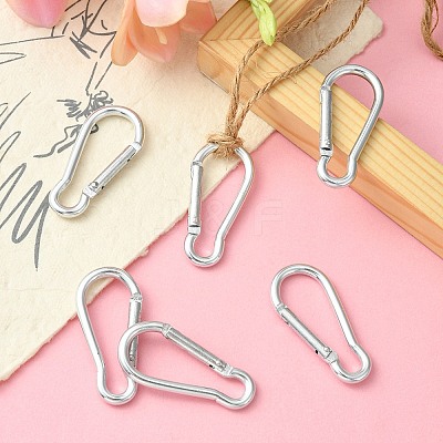 Aluminum Rock Climbing Carabiners IFIN-YW0003-28-1