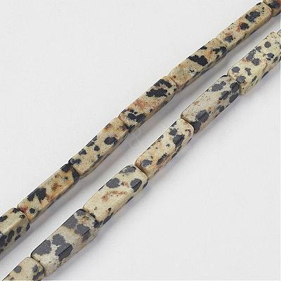 Natural Dalmatian Jasper Beads Strands G-G968-D10-1
