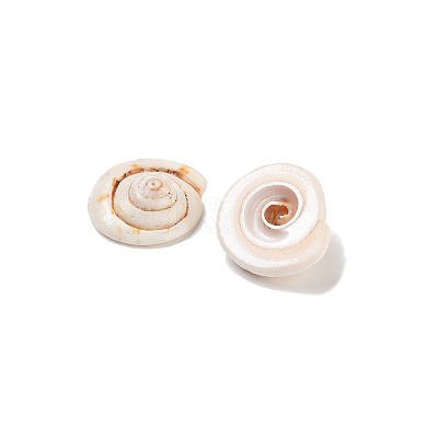 Natural Shiva Eye Shell Beads BSHE-S090-1