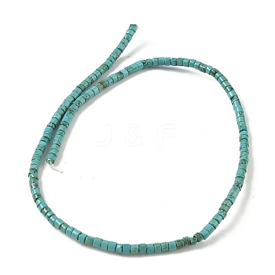 Dyed Natural Magnesite Beads Strands G-M448-C01-01-1
