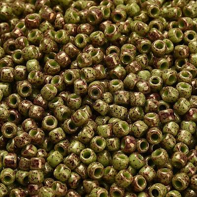 TOHO 6/0 Round Beads X-SEED-TR06-1209-1