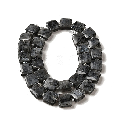 Natural Larvikite Beads Strands G-L596-A16-01-1
