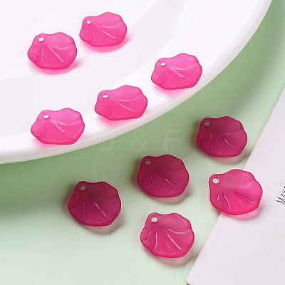 Transparent Frosted Acrylic Pendants MACR-S371-02A-706-1