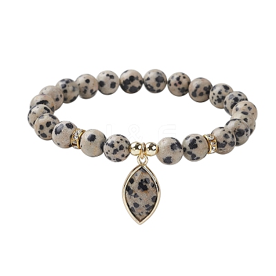 Natural Dalmatian Jasper Stretch Bracelets BJEW-JB10092-06-1