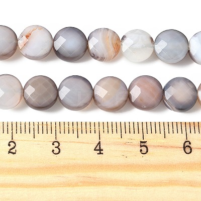 Natural Grey Botswana Agate Beads Strands G-C179-A50-03-1