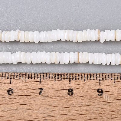 Natural Freshwater Shell Beads Strands SHEL-Q028-01A-1