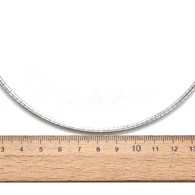 Non-Tarnish 304 Stainless Steel Necklaces NJEW-D274-01P-1
