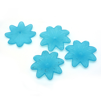Transparent Acrylic Beads FACR-Q009-12-1