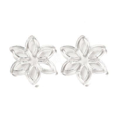 Transparent Acrylic Pendants TACR-G048-28-1