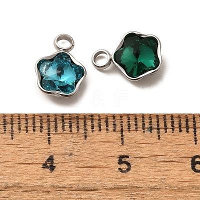 304 Stainless Steel Pendants STAS-Q346-02P-1