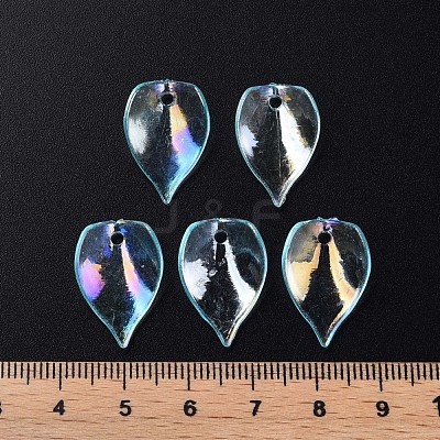 Transparent Acrylic Beads MACR-S373-103-C03-1