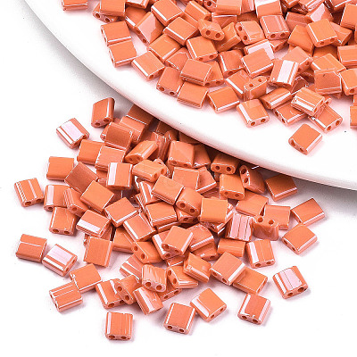 FGB 2-Hole Glass Seed Beads SEED-S031-L-ST130-1