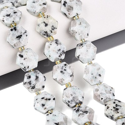 Natural Sesame Jasper Beads Strands G-N368-01A-19-1